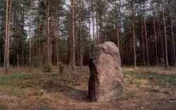dieveniskiu_mokas