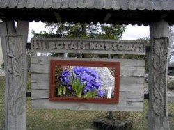 su_botanikos_sodas
