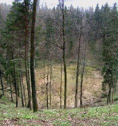 velnio_duobe